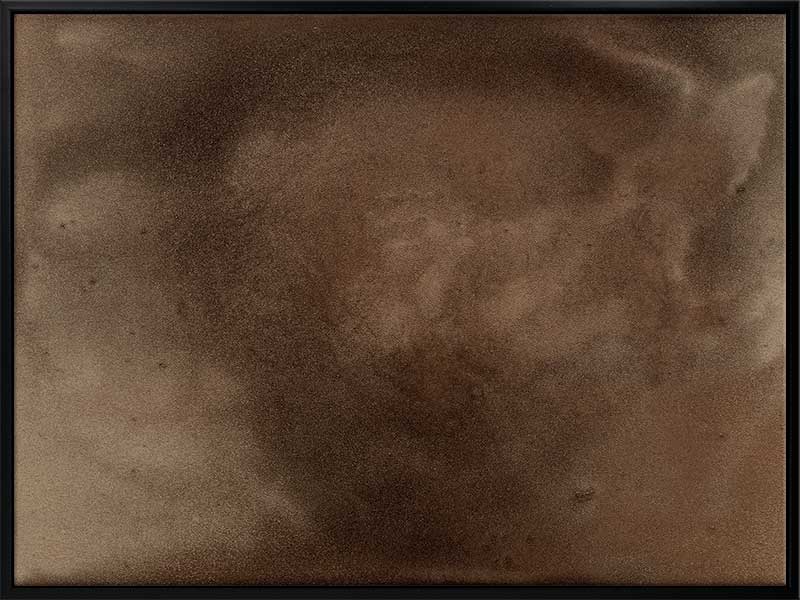 Earthy Canvas Art Print