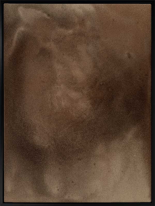 Earthy Canvas Art Print