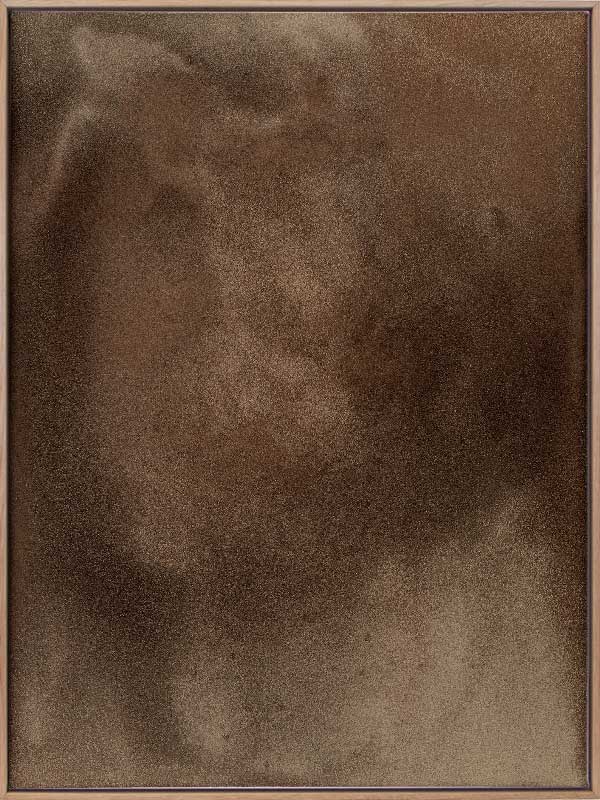 Earthy Canvas Art Print