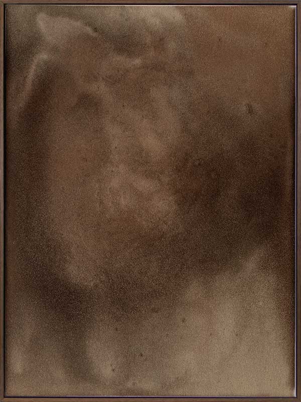 Earthy Canvas Art Print