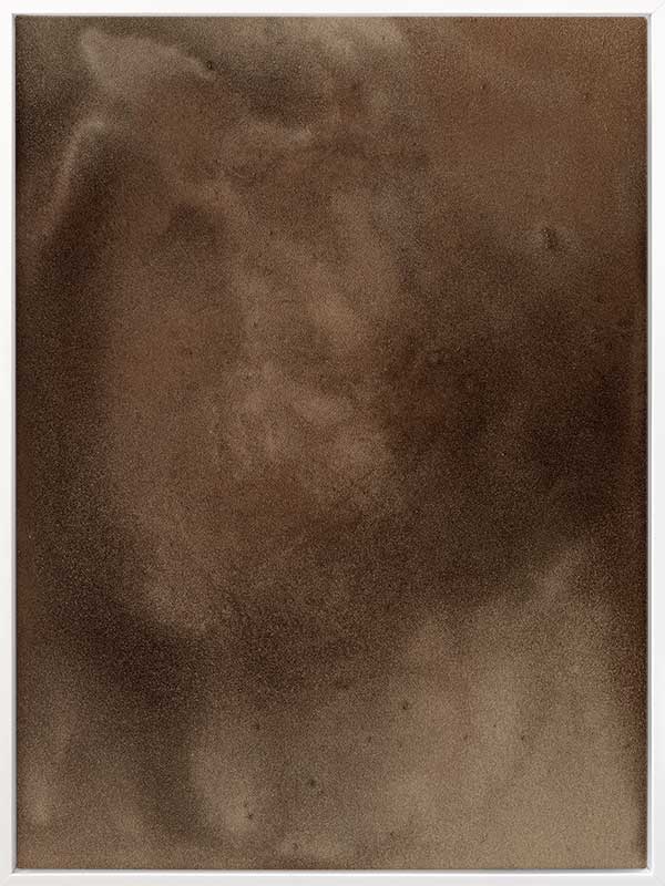 Earthy Canvas Art Print