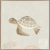 Illustrated turtle swimming calmly underwater among soft coral and bubbles in neutral and grey tones, from the Little Tails Collection by Urban Road.
