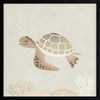 Illustrated turtle swimming calmly underwater among soft coral and bubbles in neutral and grey tones, from the Little Tails Collection by Urban Road.