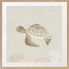 Illustrated turtle swimming calmly underwater among soft coral and bubbles in neutral and grey tones, from the Little Tails Collection by Urban Road.