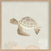 Illustrated turtle swimming calmly underwater among soft coral and bubbles in neutral and grey tones, from the Little Tails Collection by Urban Road.
