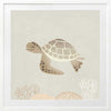 Illustrated turtle swimming calmly underwater among soft coral and bubbles in neutral and grey tones, from the Little Tails Collection by Urban Road.