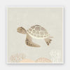 Illustrated turtle swimming calmly underwater among soft coral and bubbles in neutral and grey tones, from the Little Tails Collection by Urban Road.