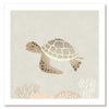 Illustrated turtle swimming calmly underwater among soft coral and bubbles in neutral and grey tones, from the Little Tails Collection by Urban Road.