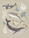 A group of sea animals including whales, dolphins, rays, and turtles illustrated in soft neutral tones, from the Little Tails Collection by Urban Road.