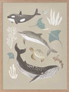 A group of sea animals including whales, dolphins, rays, and turtles illustrated in soft neutral tones, from the Little Tails Collection by Urban Road.