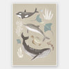 A group of sea animals including whales, dolphins, rays, and turtles illustrated in soft neutral tones, from the Little Tails Collection by Urban Road.