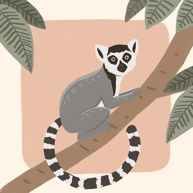 Whimsical illustration of a lemur perched on a tree branch with soft leaves and a blush backdrop, from the Little Tails Collection by Urban Road.