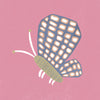 Butterfly with patterned wings on a pink background with soft grey accents, from the Little Tails Collection by Urban Road.