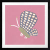Butterfly with patterned wings on a pink background with soft grey accents, from the Little Tails Collection by Urban Road.