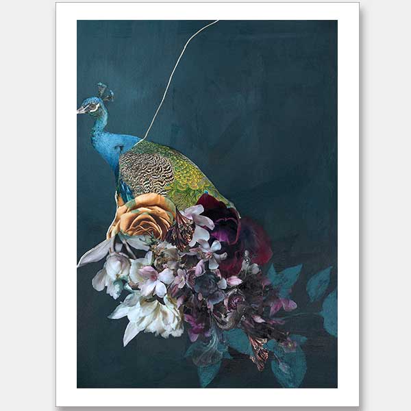 Hide and Seek II Unframed Art Print