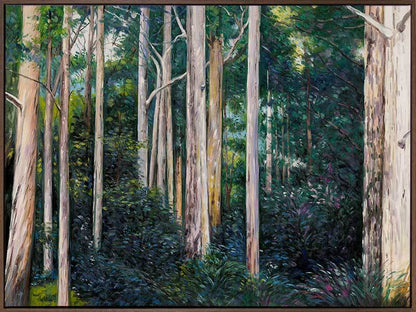 Eucalypt Canvas Art Print