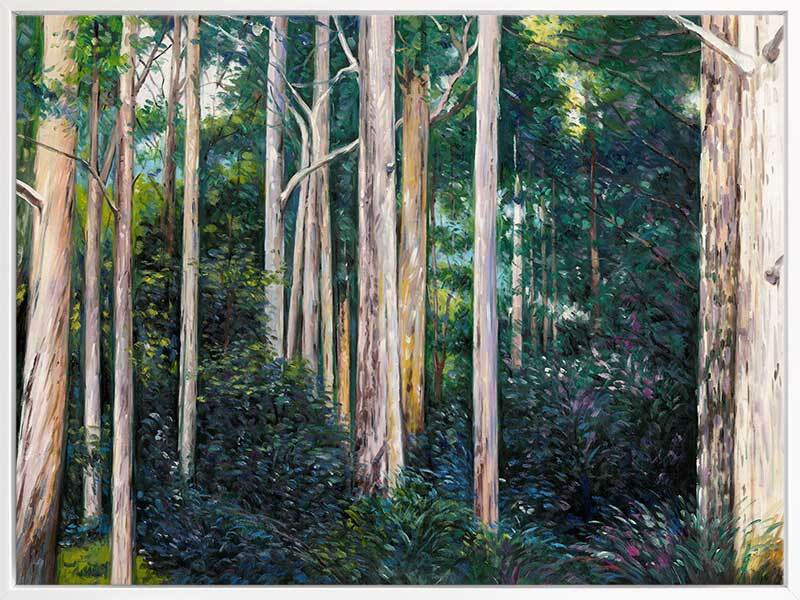 Eucalypt Canvas Art Print