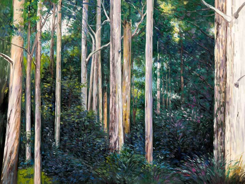 Eucalypt Canvas Art Print