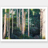 Eucalypt Unframed Art Print