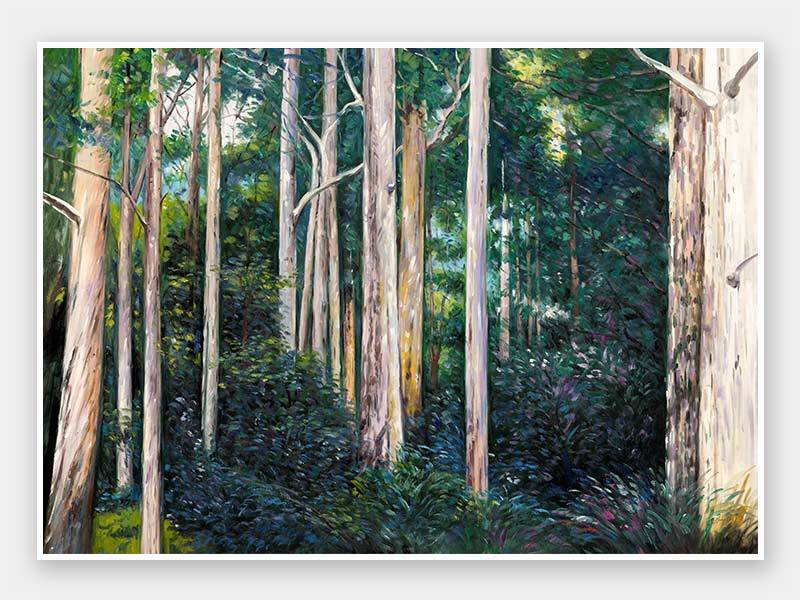 Eucalypt Unframed Art Print