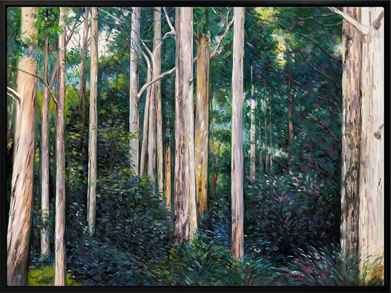 Eucalypt Canvas Art Print