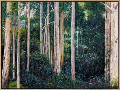 Eucalypt Canvas Art Print