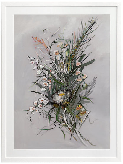 Boronia Framed Art Print