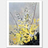 Acacia Unframed Art Print