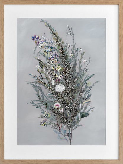 Grevillea Framed Art Print