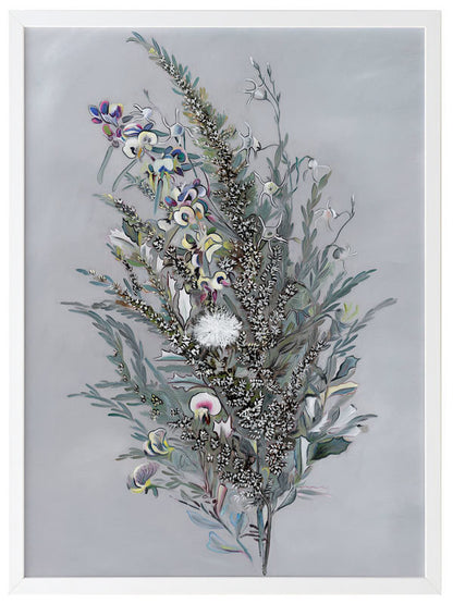 Grevillea Framed Art Print