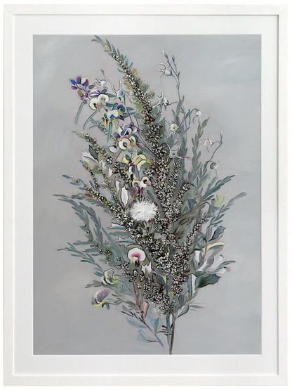 Grevillea Framed Art Print