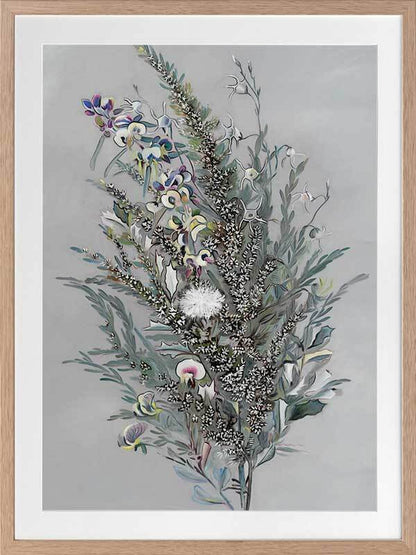 Grevillea Framed Art Print