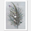 Grevillea Unframed Art Print
