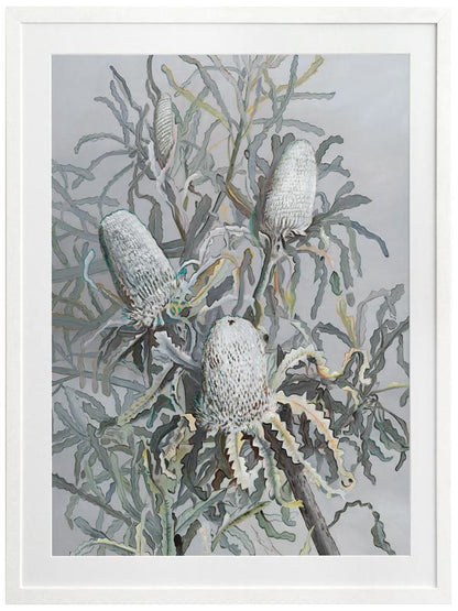 Banksia Framed Art Print