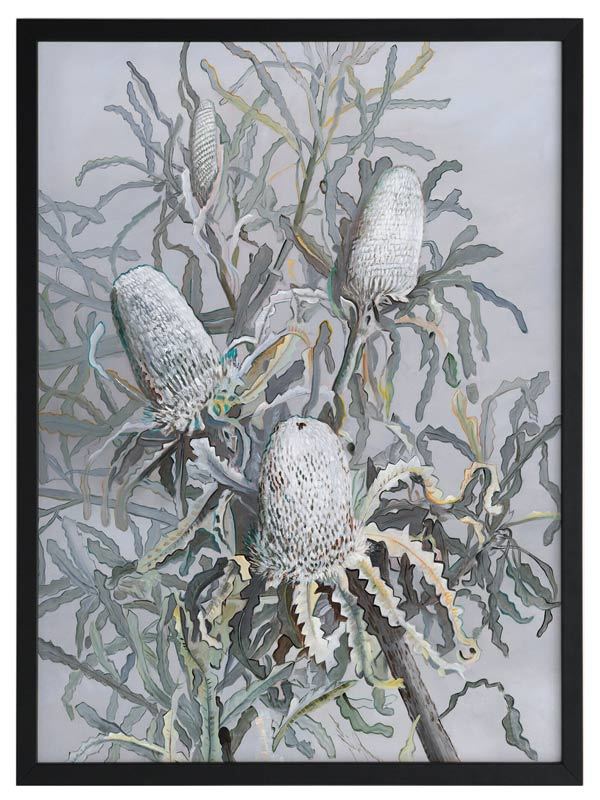 Banksia Framed Art Print