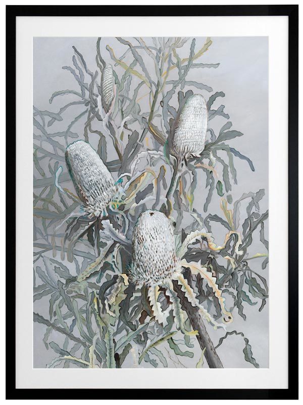 Banksia Framed Art Print