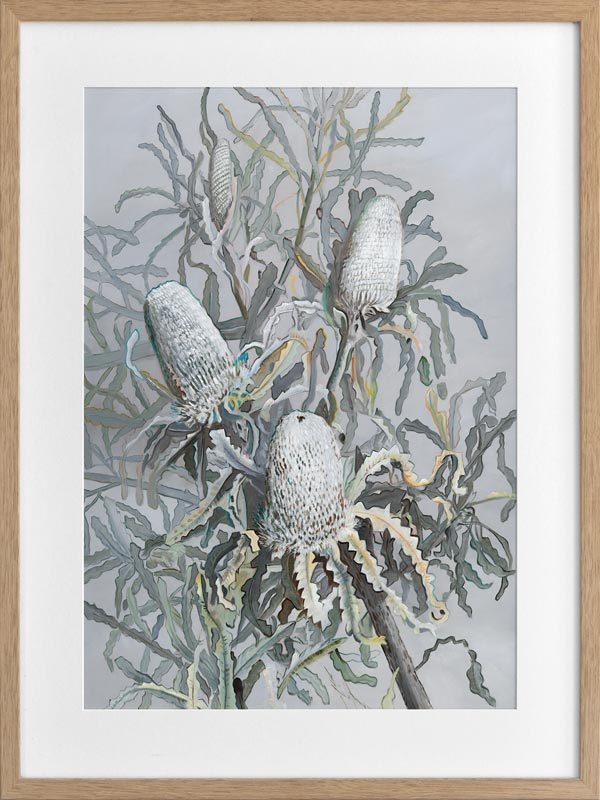 Banksia Framed Art Print