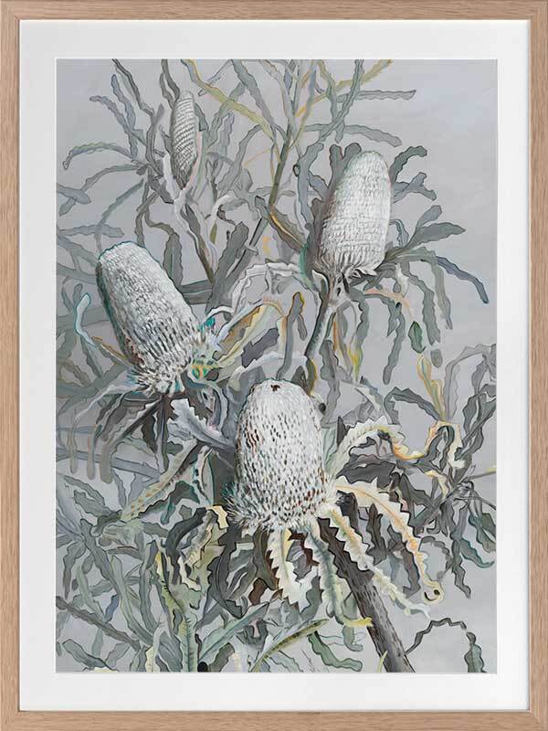 Banksia Framed Art Print