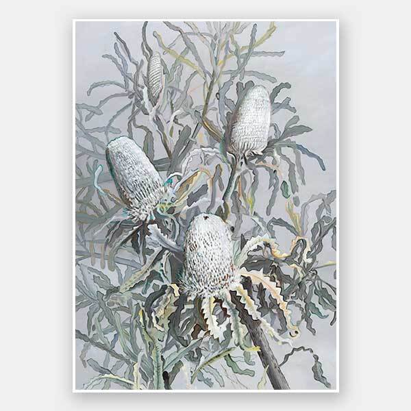 Banksia Unframed Art Print