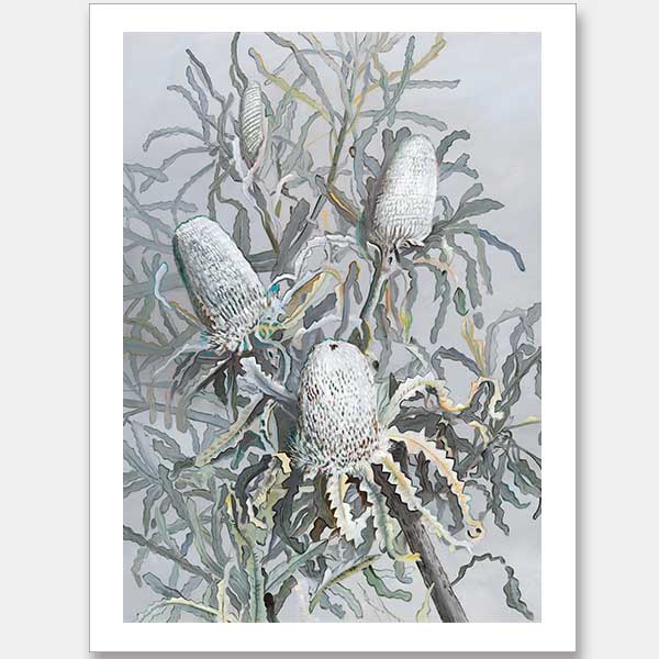 Banksia Unframed Art Print
