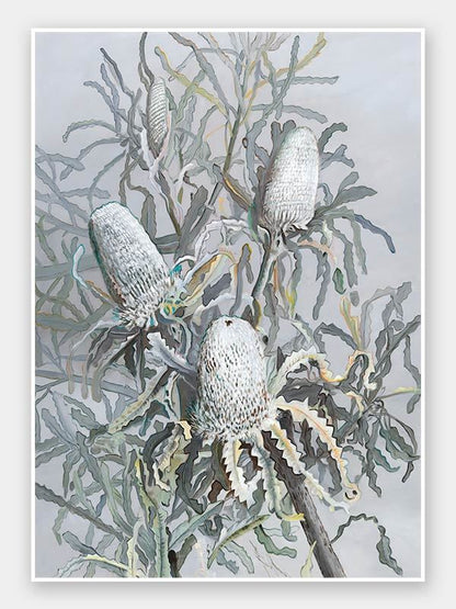 Banksia Unframed Art Print