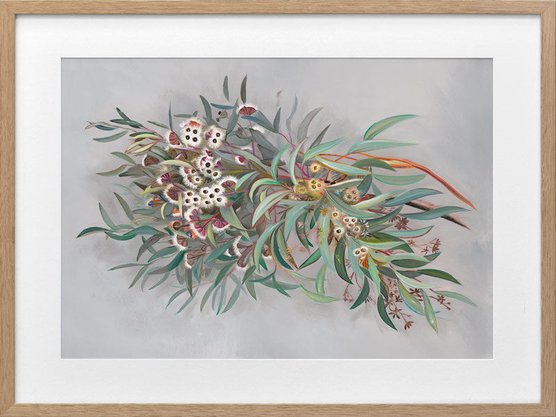 Gumnut Framed Art Print