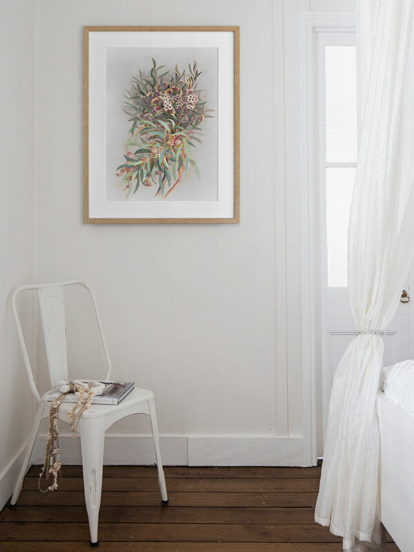 Gumnut Framed Art Print | Lifestyle