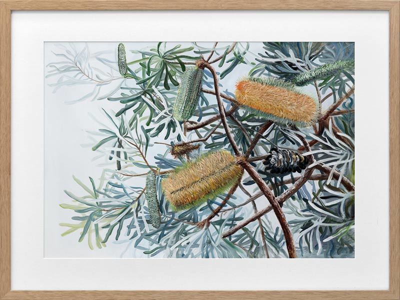 Yellow Wing Framed Art Print