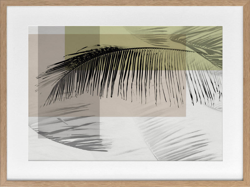 Plantation II Framed Art Print