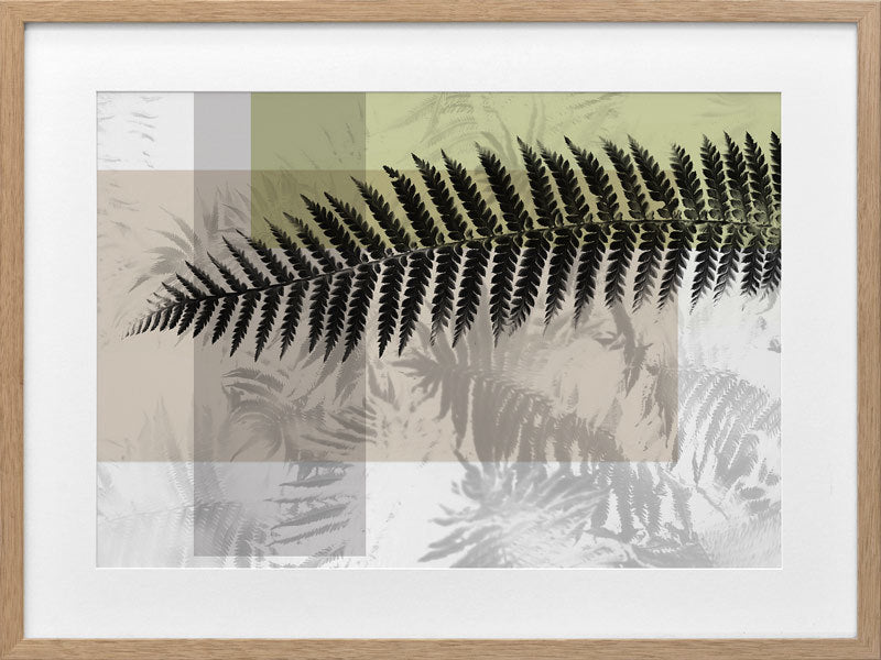 Plantation III Framed Art Print