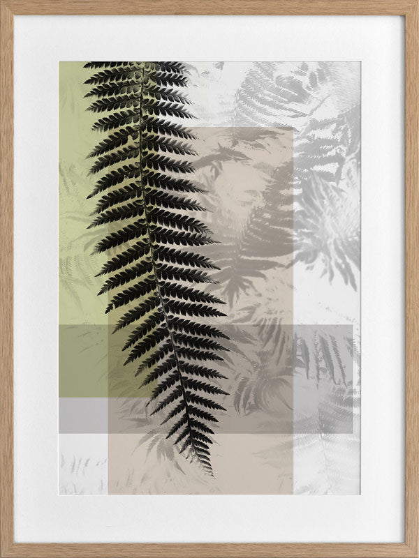 Plantation III Framed Art Print