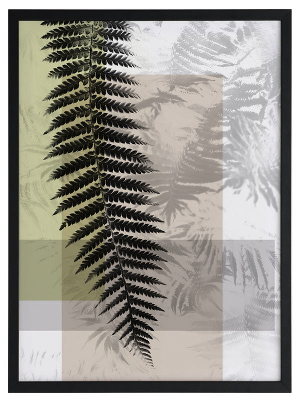 Plantation III Framed Art Print