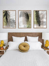 Plantation III Canvas Art Print | Lifestyle