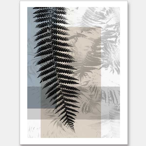 Havana III Unframed Art Print